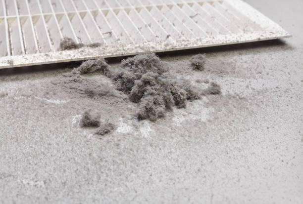Best Air Vent Cleaning Services  in Cokato, MN
