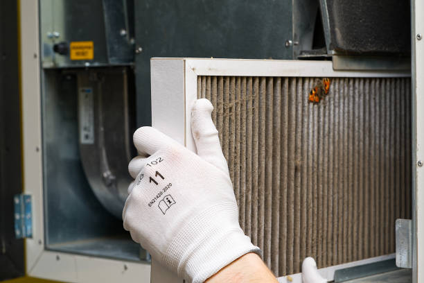 Best HVAC Air Duct Cleaning  in Cokato, MN