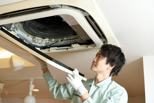Best HVAC System Cleaning  in Cokato, MN