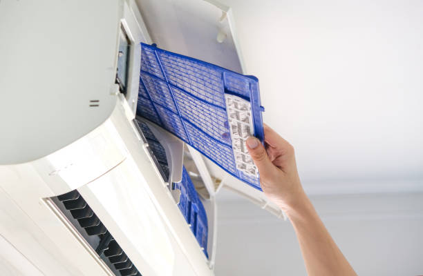 Best Dryer Vent Cleaning Services  in Cokato, MN