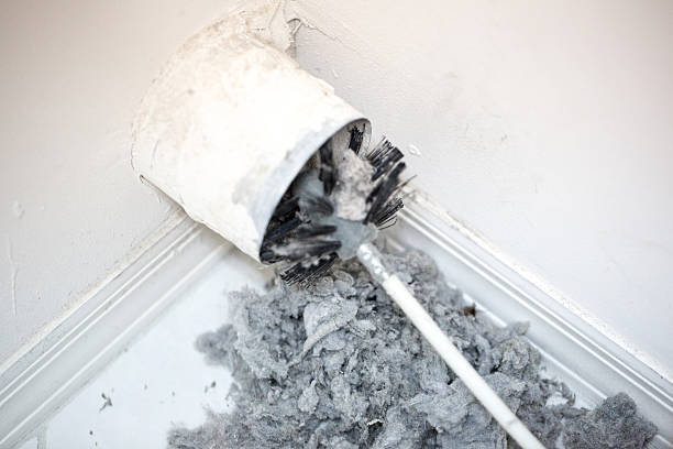 Best Affordable Air Duct Cleaning  in Cokato, MN